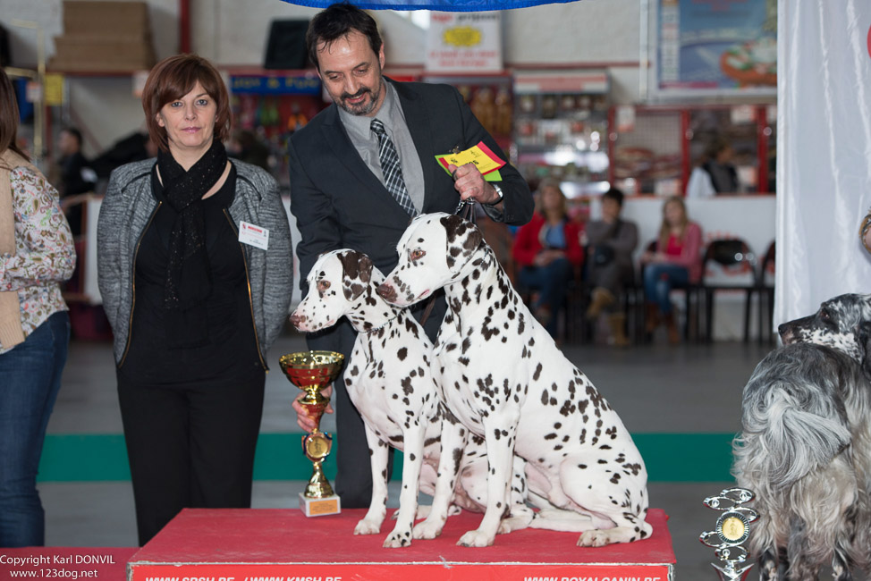 gal/Expo_janvier_2015/2015-02-27 13.31.41-3.jpg